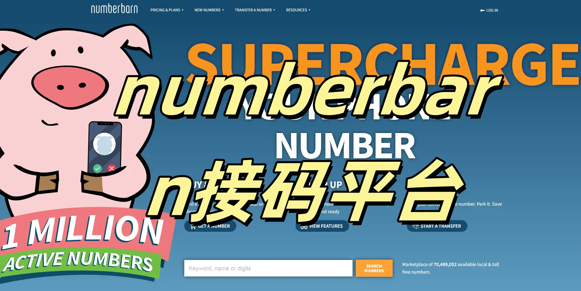 numberbarn接码平台.webp