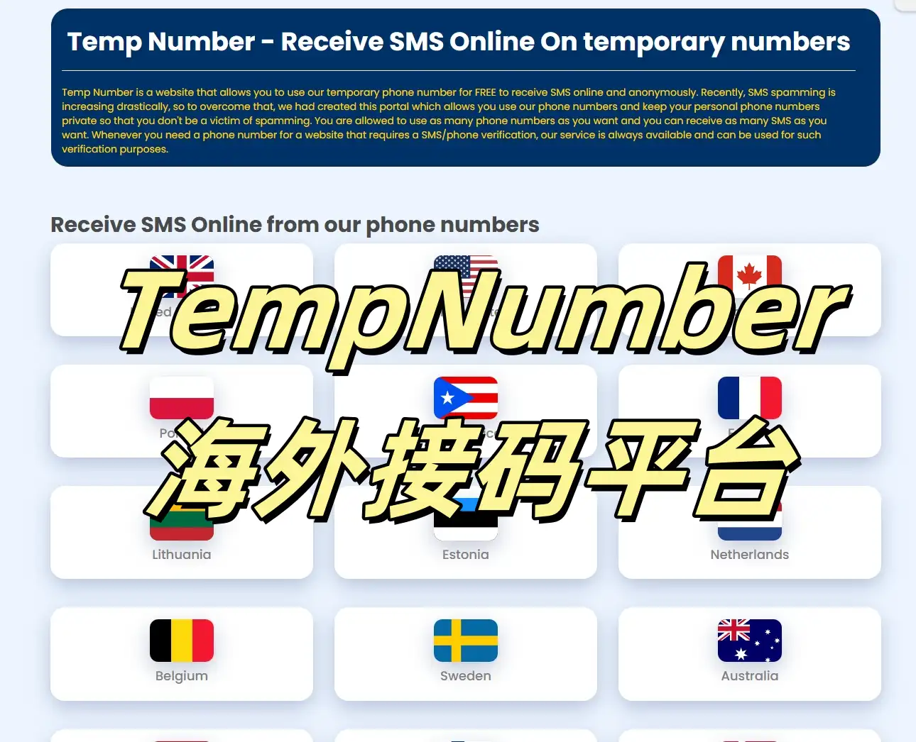 TempNumber海外接码平台.webp